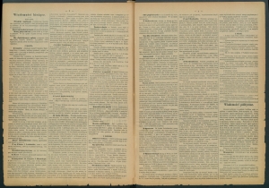 gazeta radomska-1885-30-00002